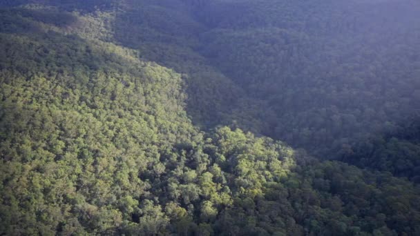 澳大利亚因斯图瓦蓝山回响点上的一大片高角度的热带雨林 — 图库视频影像