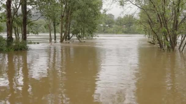 Pan Nepean River Flood March 2021 Floods Nsw Australia — Stock Video