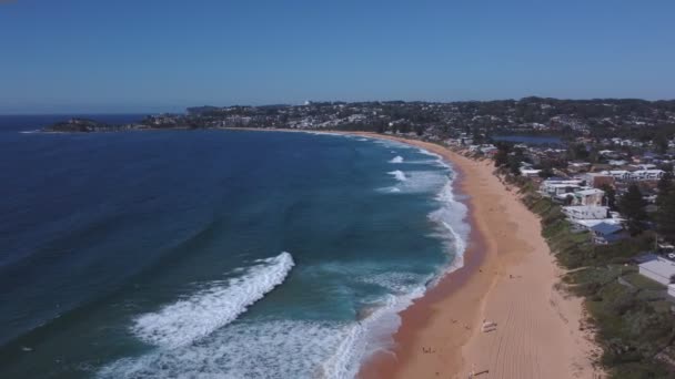 Drone Εναέρια Κλιπ Πλησιάζει Terrigal Παραλία Στο Terrigal Στην Nsw — Αρχείο Βίντεο