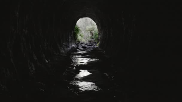 Widok Wnętrza Tunelu Żarzącego Się Robaka Kierunku Wejścia Położony Pobliżu — Wideo stockowe
