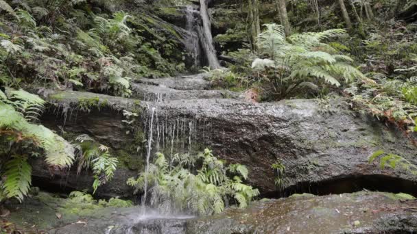 小瀑布落在澳大利亚Nsw蓝色山中的Katoomba的水路上 — 图库视频影像
