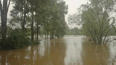 NSW, Avustralya 'daki Penrith' deki Nepean Nehri 'nin taşkın suları altında bir nehir kenarı rezervi.