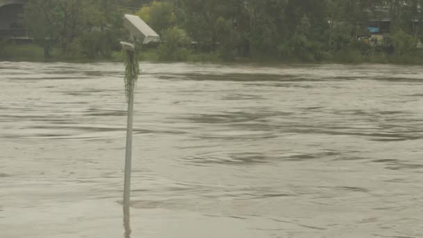 Den Nya Europeiska Floden Översvämning Med Ogräs Lyktstolpen Som Visar — Stockvideo