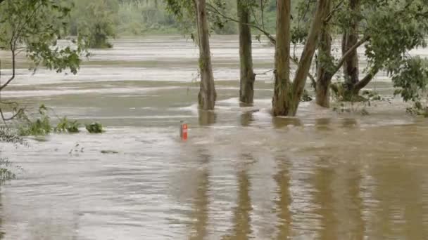 Οδική Πινακίδα Κάτω Από Νερά Πλημμυρών Από Τον Ευρωπαϊκό Ποταμό — Αρχείο Βίντεο