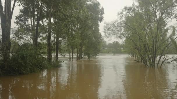 オーストラリアのNswにあるネピアン川の氾濫原にある川沿いの保護区です — ストック動画