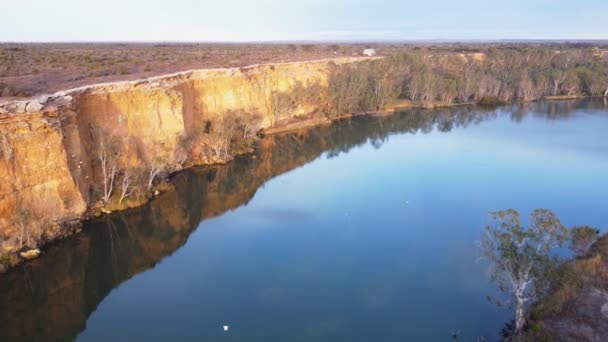 Εναέρια Άποψη Του Ποταμού Murray Και Ένα Σμήνος Από Cockatoos — Αρχείο Βίντεο