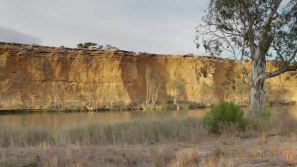 Rondel Brzegów Rzeki Murray Dużym Zakręcie Południowej Australii — Wideo stockowe