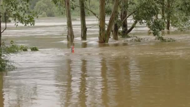 Zoom Cartello Stradale Parzialmente Sommerso Durante Alluvione Del Fiume Europeo — Video Stock