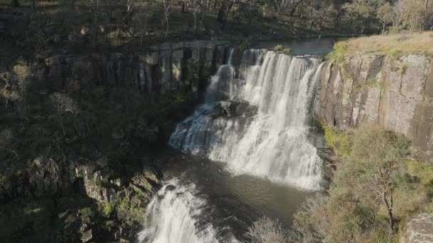 Ein Herbstnachmittag Blick Auf Upper Ebor Falls Ebor Nsw Australien — Stockvideo
