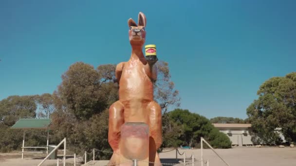 Naklonit Klip Přední Straně Velkého Klokana Pohraniční Vesnici Jižní Austrálii — Stock video