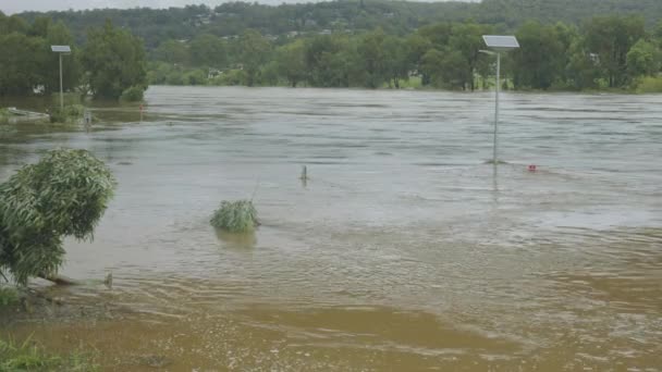 Rivière Nepean Penrith Crue Lors Des Inondations Mars 2021 Nsw — Video