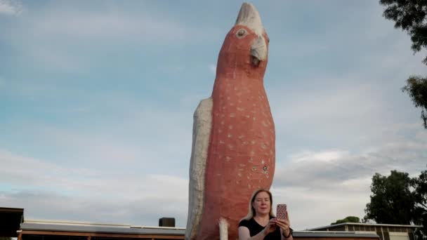 Zblízka Turistů Kteří Selfie Velkou Galah Kimbě Jižní Austrálii — Stock video