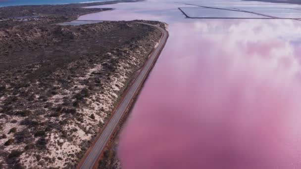 Воздушный Клип Летящий Вперед Север Розовых Вод Лагуны Хатт Порту — стоковое видео