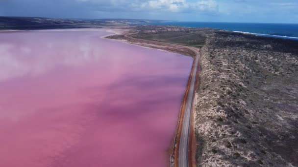 Αεροφωτογραφία Που Πετά Προς Εμπρός Και Προς Νότια Του Ροζ — Αρχείο Βίντεο