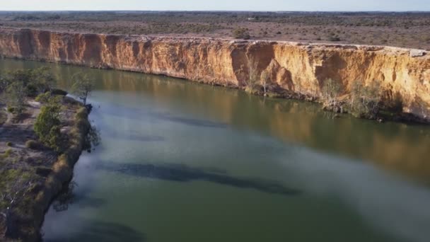 Klip Powietrza Lecący Tyłu Skierowany Dół Rzeki Murray Dużym Zakręcie — Wideo stockowe