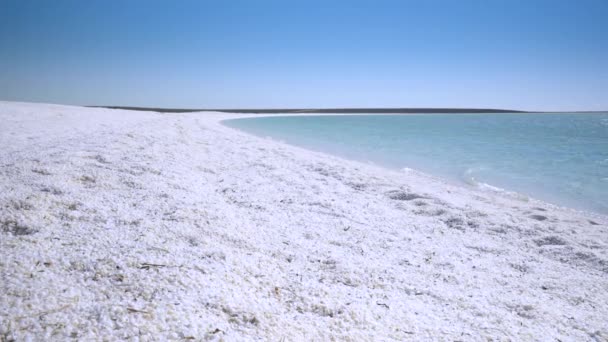 Nízký Úhel Pohledu Pláž Mušlí Zátoce Žraloků Západní Austrálii — Stock video
