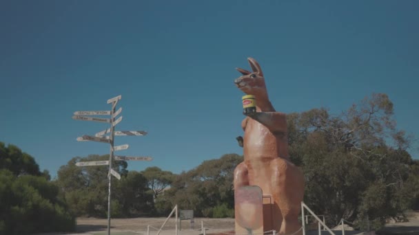 Vidvinkelzoom Klipp Den Stora Kängurun Vid Gränsbyn Södra Australien — Stockvideo