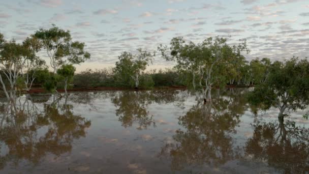 Dageraad Uitzicht Van Een Billabong Buurt Van Lyndon Outback West — Stockvideo