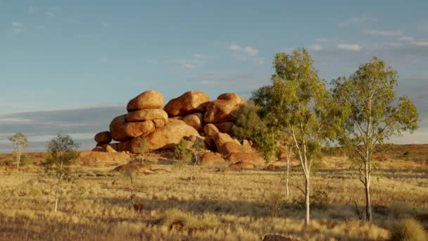 Diabelskie Kulki Drzewa Eukaliptusowe Zachodzie Słońca Północnym Terytorium Australii — Wideo stockowe