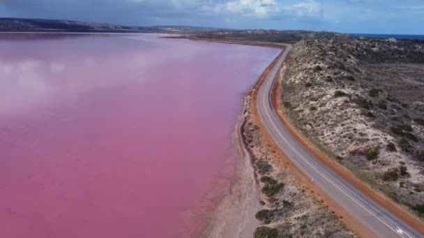 Висхідний Повітряний Затискач Звернений Південь Рожевих Вод Лагуни Західній Австралії — стокове відео