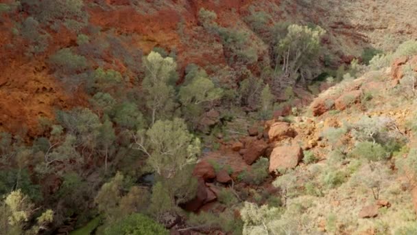 Hög Vinkel Zoom Skott Dales Ravin Karijini Nationalpark Västra Australien — Stockvideo