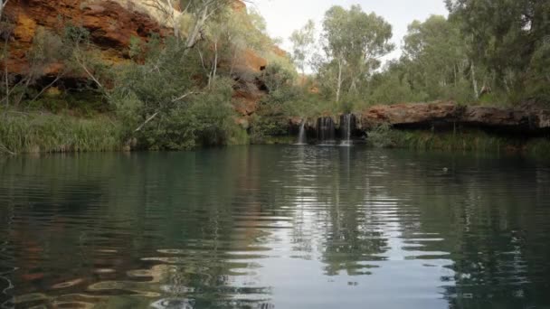 Ранковий Кліп Популярного Папороті Ущелині Дал Національному Парку Західної Австралії — стокове відео