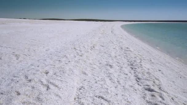 Una Lenta Toma Panorámica Playa Conchas Bahía Tiburones Australia Occidental — Vídeos de Stock