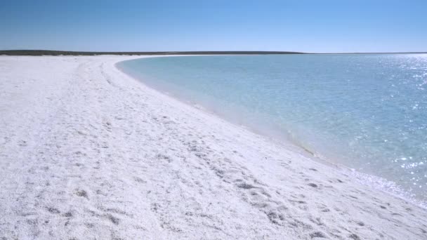 Zpomalený Klip Mušle Pláže Žraločí Zátoce Západní Austrálii Souladu 120P — Stock video