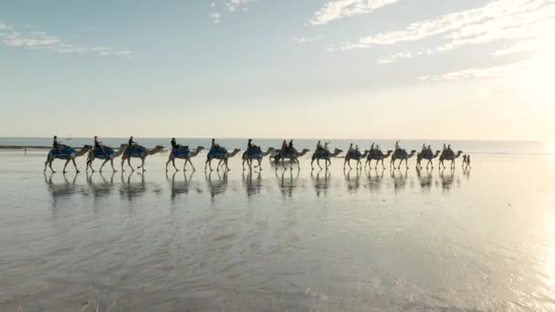 Turistas Parten Paseo Camello Atardecer Largo Playa Por Cable Broome — Vídeos de Stock