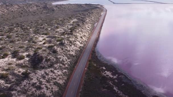 向北俯瞰澳大利亚西部赫特人泻湖粉色海水的上升的空中景观 — 图库视频影像