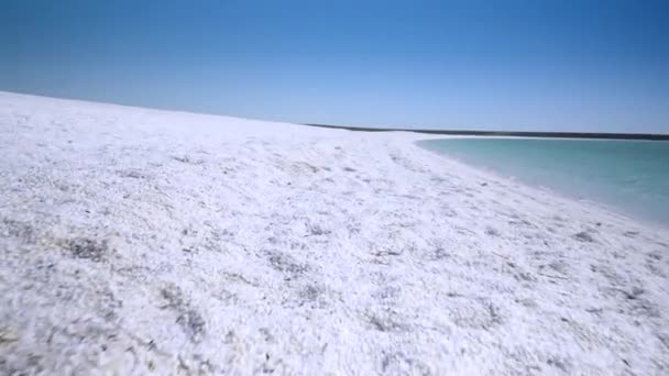 オーストラリア西部のサメ湾のシェルビーチに沿って歩くジンバル安定したクリップは 何兆もの小さなコックルの貝でできており 砂を持っていません — ストック動画