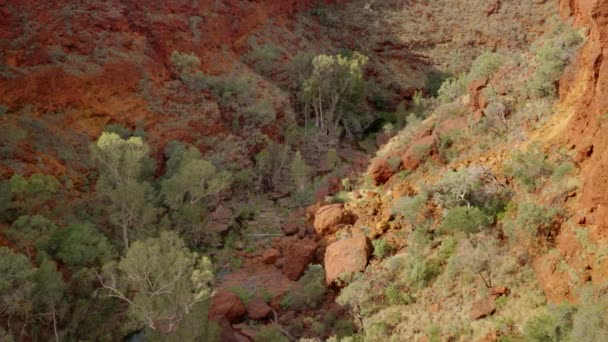 호주의 공원에 Dales 협곡의 오른쪽 — 비디오