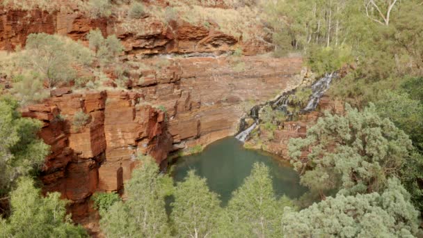 西オーストラリア州ピルバラ地区のカリジニ国立公園では — ストック動画