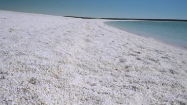 Batı Avustralya 'daki köpekbalığı körfezinde deniz kabuğu sahili boyunca yürüyen yavaş çekim dengeli klip- sığ bir alan derinliği ile kaydedildi