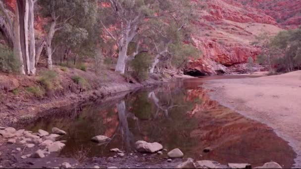 オーストラリア北部のマクドネル国立公園にある ティエストン ゴージュのゴースト ガムの日の出 — ストック動画