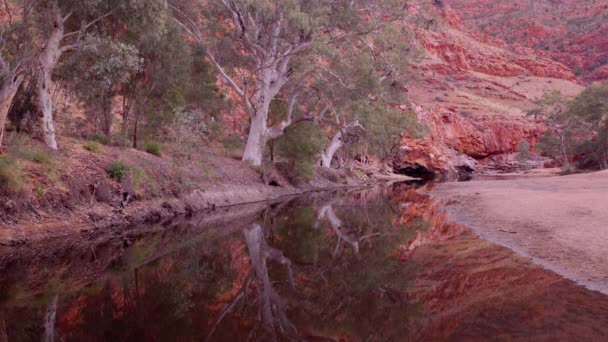 オーストラリア北部の マクドネル国立公園の ティエストン ゴージュにある ウォーターホールとガムの木の日の出 — ストック動画