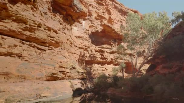 Een Kantelen Shot Van Tuin Van Eden Bij Koningen Canyon — Stockvideo