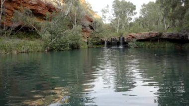 Batı Avustralya 'daki Karijini Ulusal Parkı' ndaki Dales Vadisi 'ndeki eğreltiotu havuzundaki şelalenin geniş manzarası.