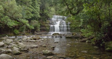 Liffey Falls 'un kuzey Tazmanya, Avustralya' daki ön manzarası