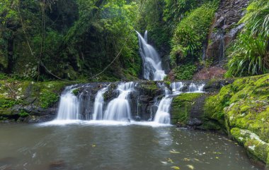 a side view of elabana falls in lamington national park of sth qld, australia clipart