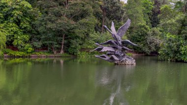 Singapur Botanik Bahçeleri 'nde kuğu gölünde uçan kuğu heykelinin sabah çekimi. 25 Temmuz 2023.