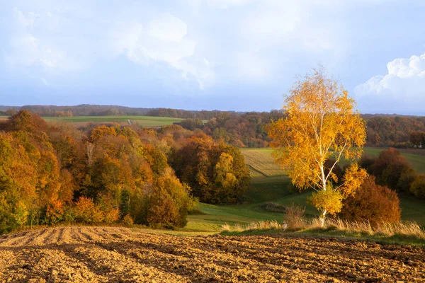 Beautiful landscapes in the provinces in Poland.