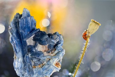 Çiçeklerin ve uğur böceklerinin arka planına karşı Kyanit güzel değerli taş.