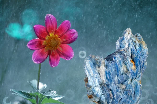 Kyanit Beautiful Precious Stone Background Flowers Ladybugs — Stock Photo, Image