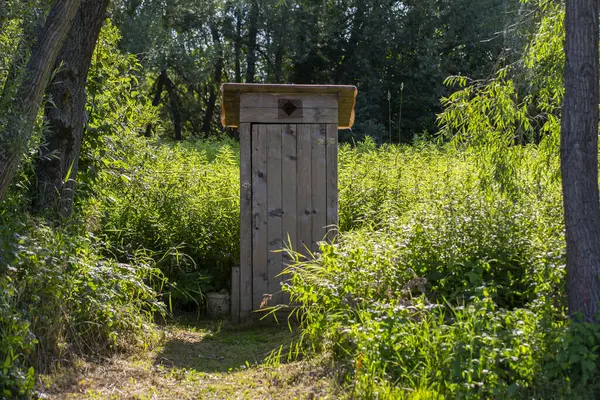 夏天森林里的木制厕所 免版税图库照片
