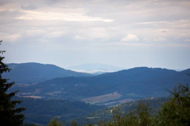 Güzel Polonya 'daki dağlarda yaz manzarasının uçuşunu izle..