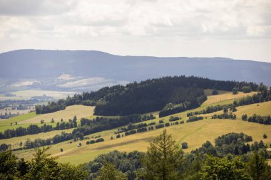 Güzel Polonya 'daki dağlarda yaz manzarasının uçuşunu izle..