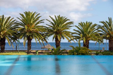 Madeira 'da okyanusa karşı palmiye ağaçları olan bir havuz.