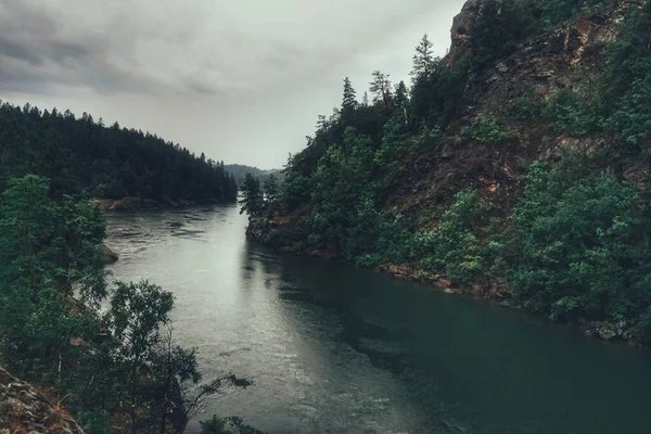 Узкая Речка Лесу Дождливый День — стоковое фото