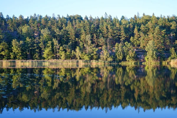 Stock image Forest reflection in lake during summer day 